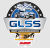 GLSS - Great Lakes Super Sprints dirt track racing organization logo